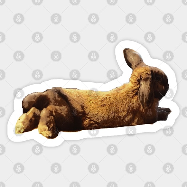 Cartoon Rabbit Anuvis Sticker by anuvisculture